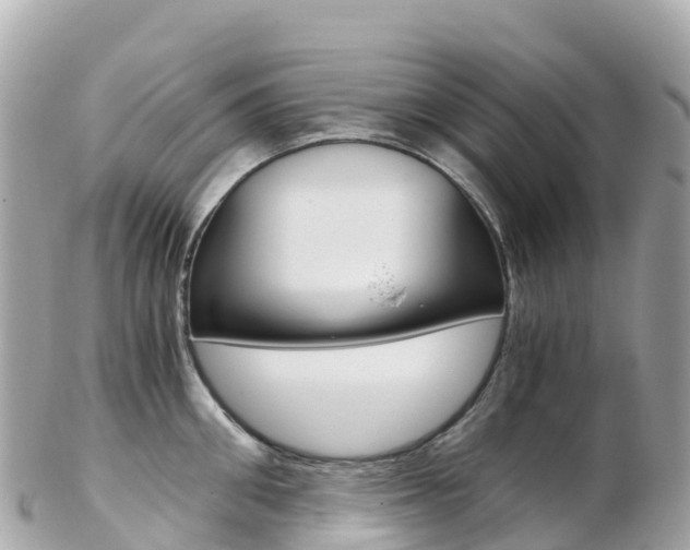 X0000103310906200808291149