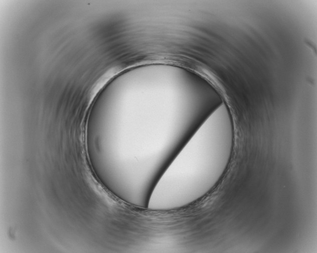X0000103310907200808291149