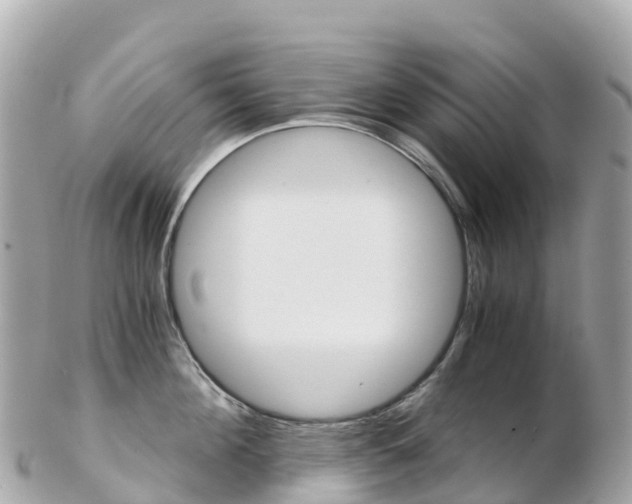 X0000103310908200808291149