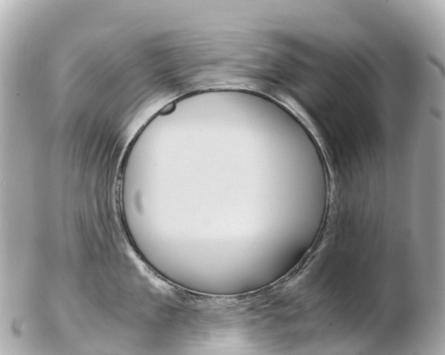 X0000103310909200808291149