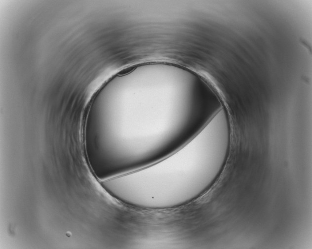 X0000103310910200808291149
