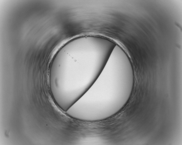 X0000103310911200808291149
