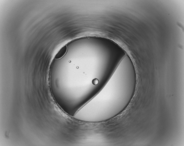 X0000103310912200808291149