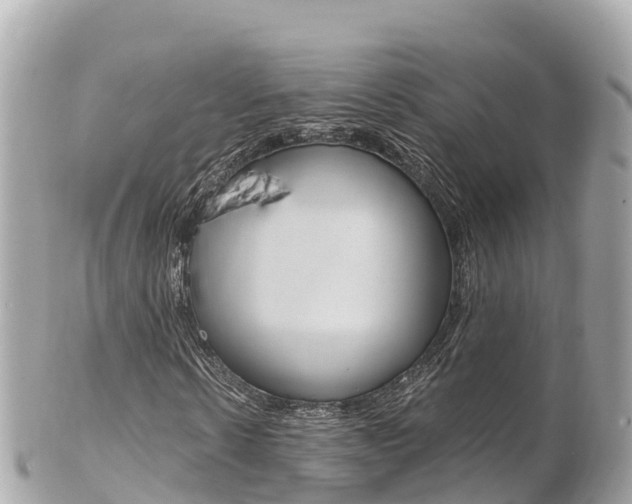 X0000103310914200808291149