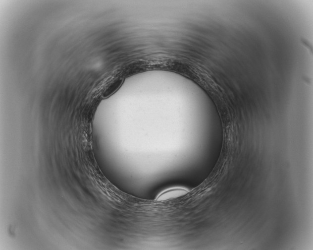 X0000103310916200808291149