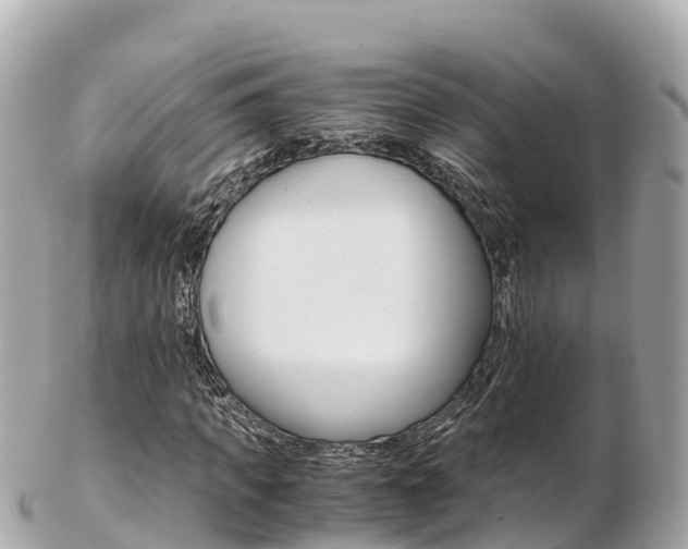 X0000103310917200808291149