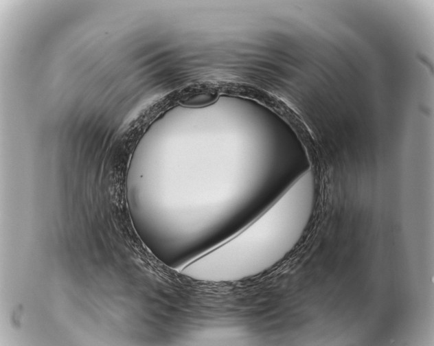 X0000103310919200808291149
