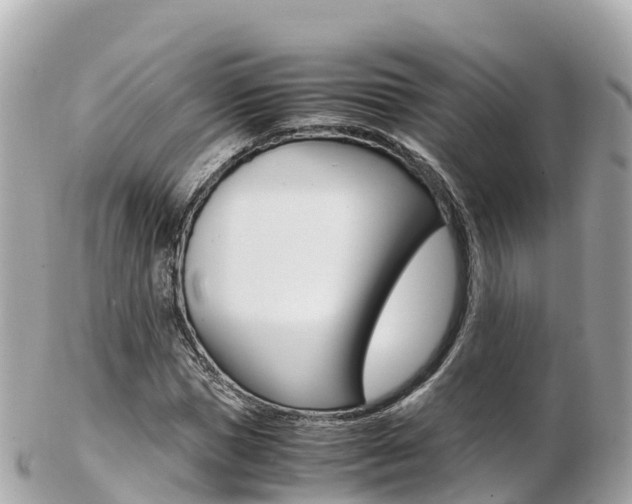 X0000103310921200808291149