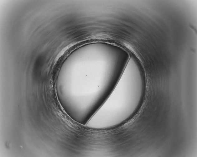 X0000103310923200808291149