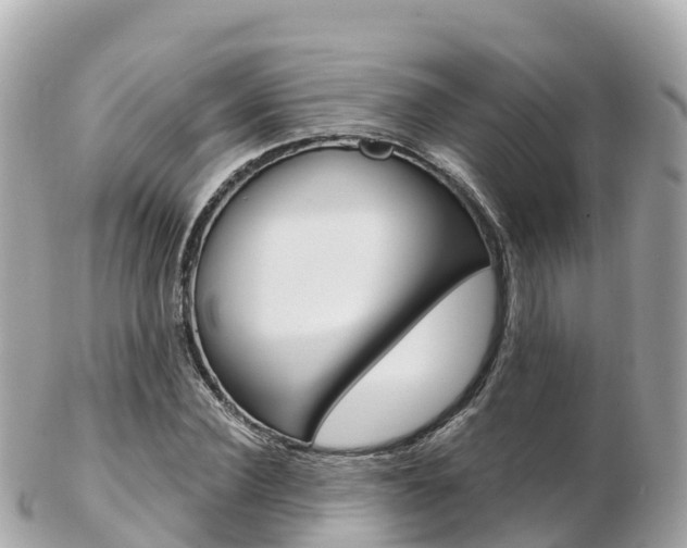 X0000103310924200808291149
