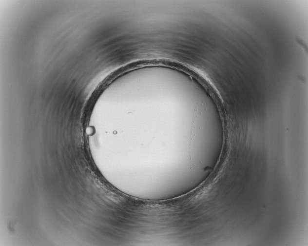 X0000103310927200808291149