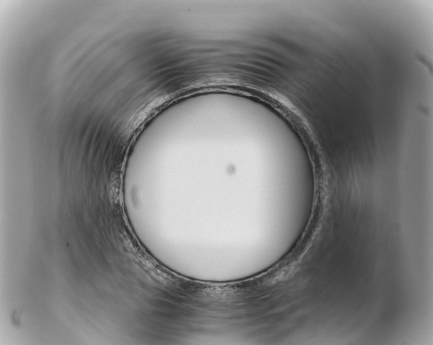 X0000103310929200808291149