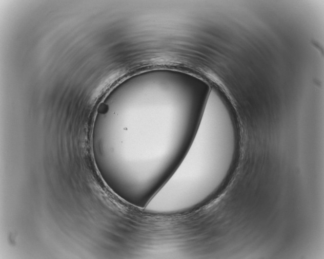 X0000103310930200808291149