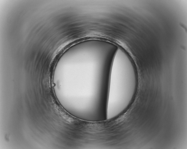 X0000103310931200808291149