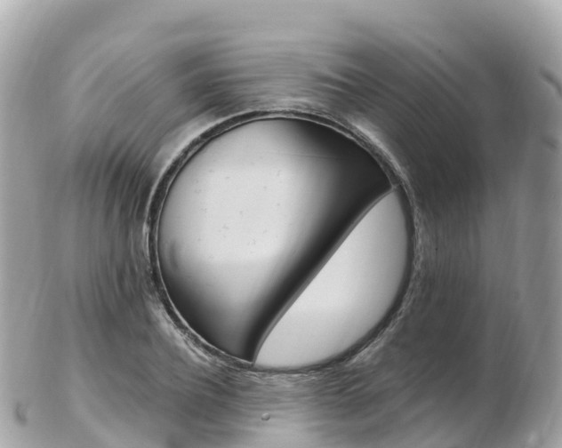 X0000103310932200808291149