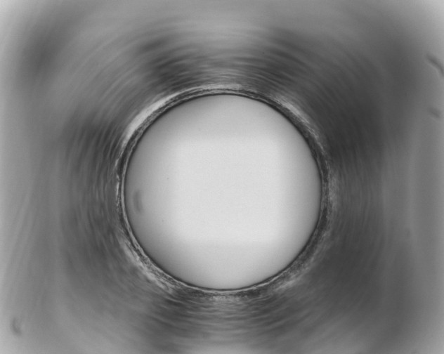 X0000103310933200808291149