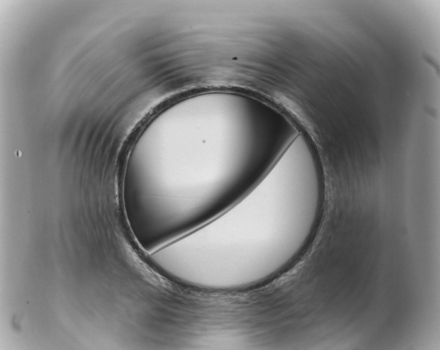 X0000103310934200808291149