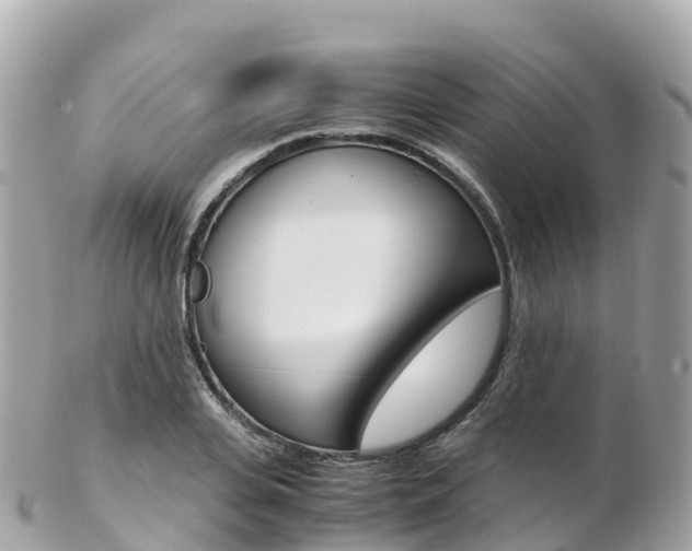 X0000103310935200808291149