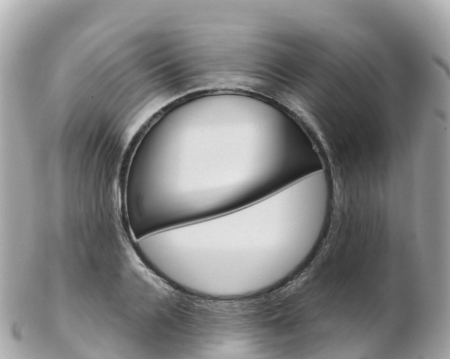 X0000103310936200808291149