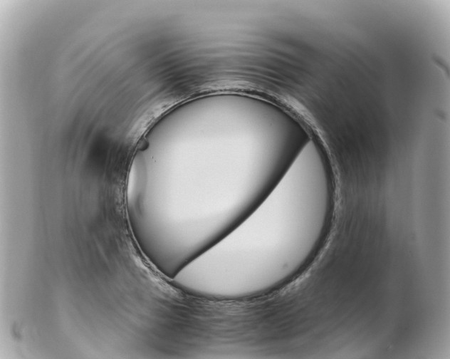 X0000103310937200808291149
