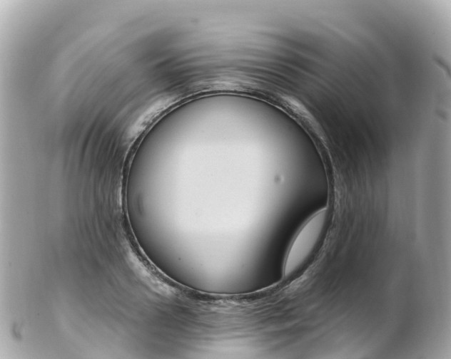 X0000103310938200808291149