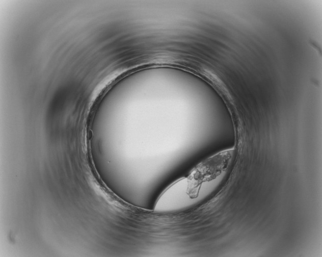 X0000103310939200808291149
