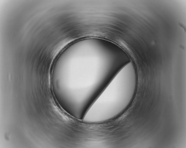 X0000103310940200808291149