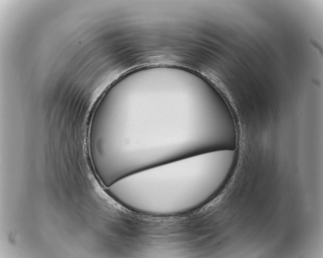 X0000103310941200808291149