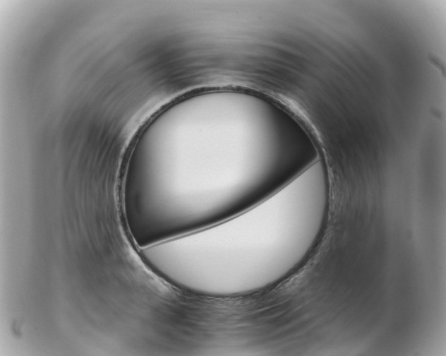 X0000103310943200808291149