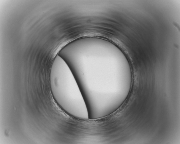 X0000103310945200808291149