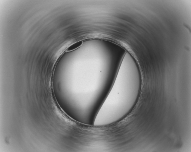 X0000103310946200808291149