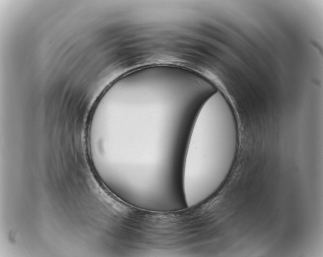 X0000103310947200808291149