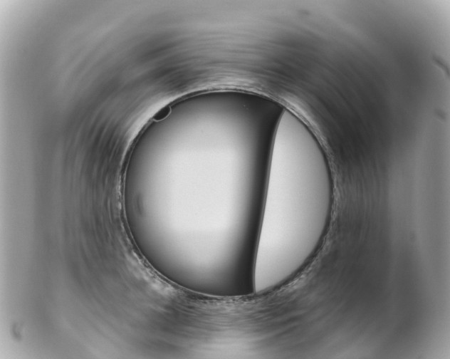 X0000103310948200808291149