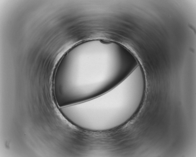 X0000103310949200808291149