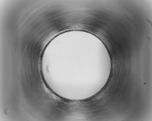 X0000103310950200808291149
