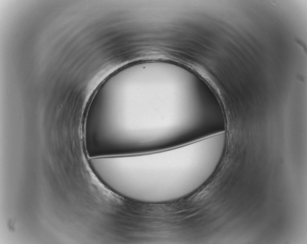 X0000103310951200808291149