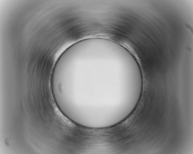 X0000103310952200808291149