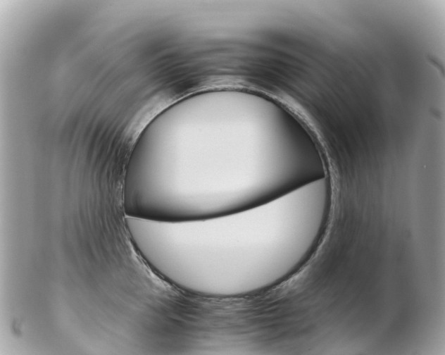 X0000103310953200808291149