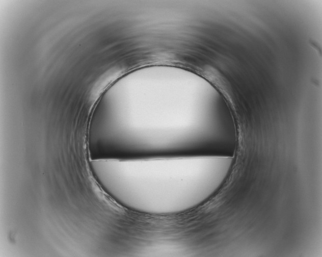 X0000103310954200808291149