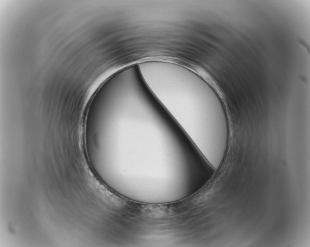 X0000103310955200808291149