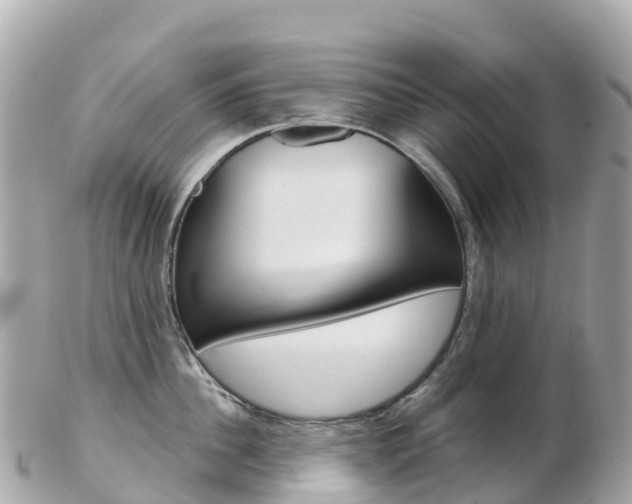 X0000103310956200808291149