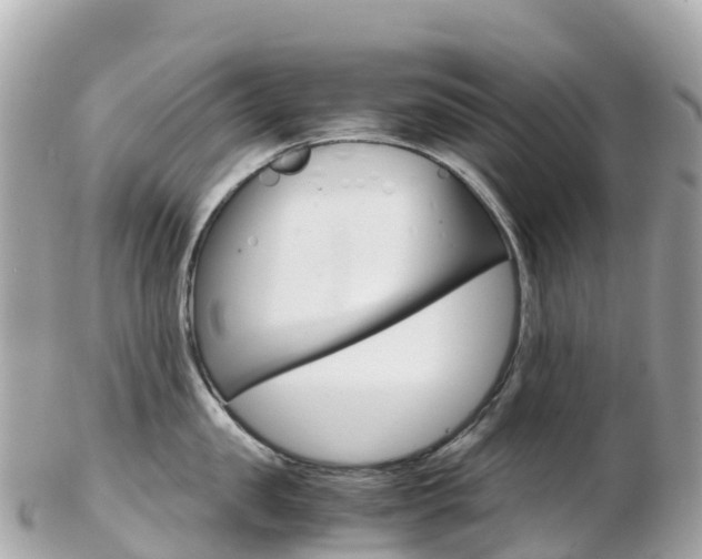 X0000103310957200808291149