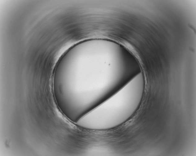X0000103310958200808291149