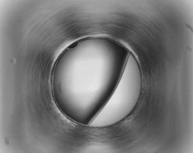 X0000103310959200808291149