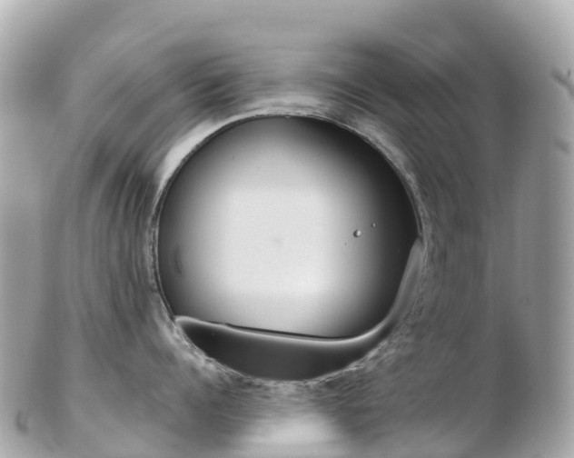 X0000103310960200808291149