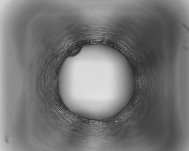 X0000103310961200808291149
