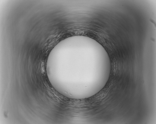 X0000103310962200808291149