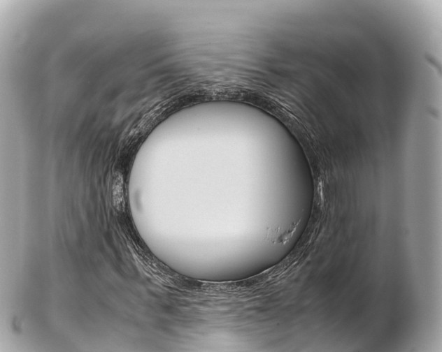 X0000103310963200808291149