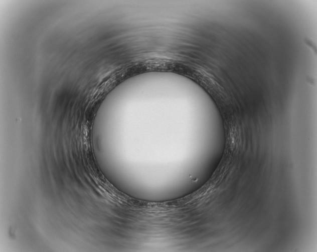 X0000103310964200808291149