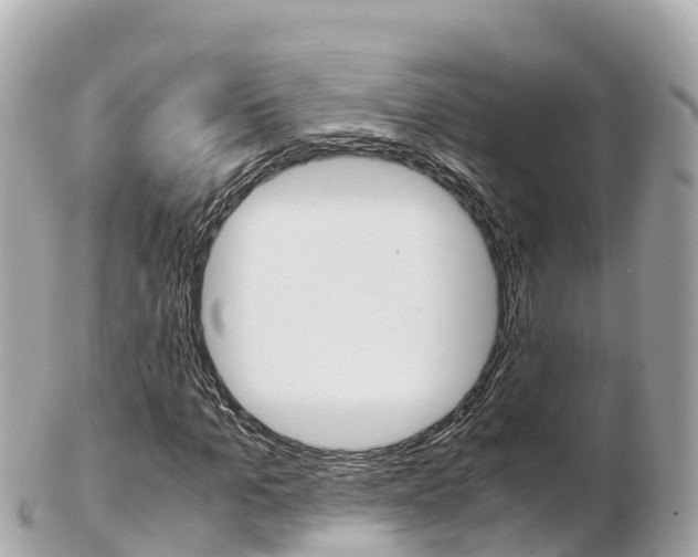 X0000103310965200808291149